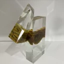 Yellow - skleněná broušená lepená plastika