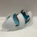 Tyrkysově modrá archa